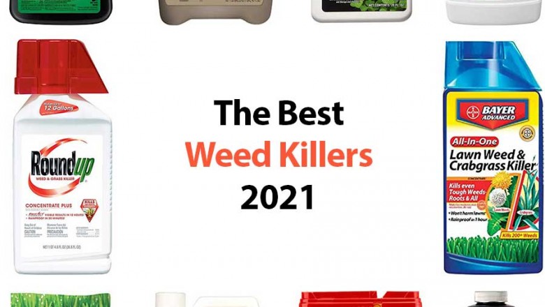 8 Best Herbicide For Creeping Charlie 2021 (Opinions)