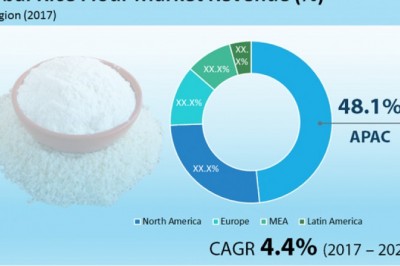 Demand for gluten-free food to fuel rice Flour market in North America