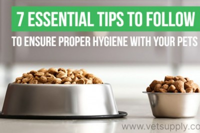7 Essential Tips To Follow To Ensure Proper Hygiene With Your Pets