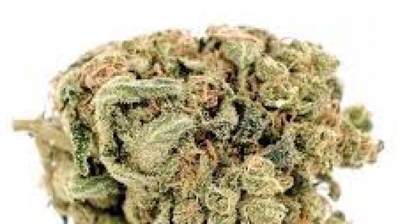 Gorilla Glue #4