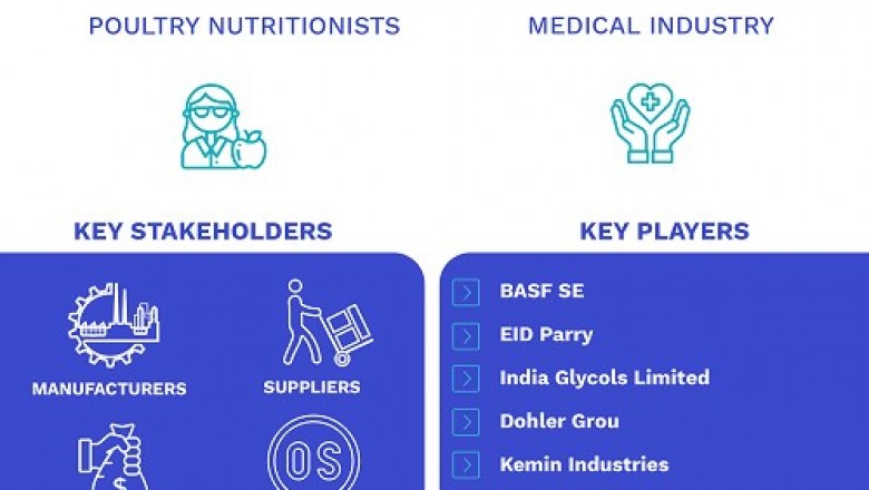 Lutein Esters Market Size By Product, Application