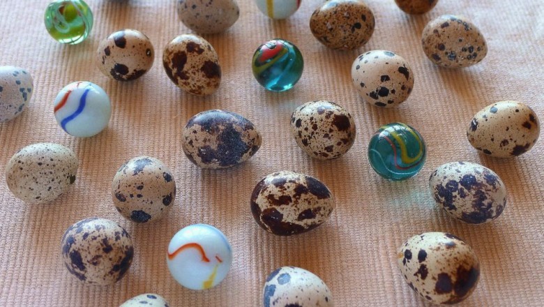 Quail Eggs Eating Ultimate Health Benefits