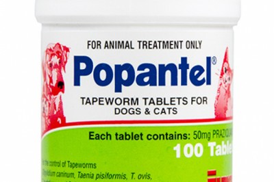 Buy Popantel Online At Lowest Price With Free Shipping - DiscountPetCare