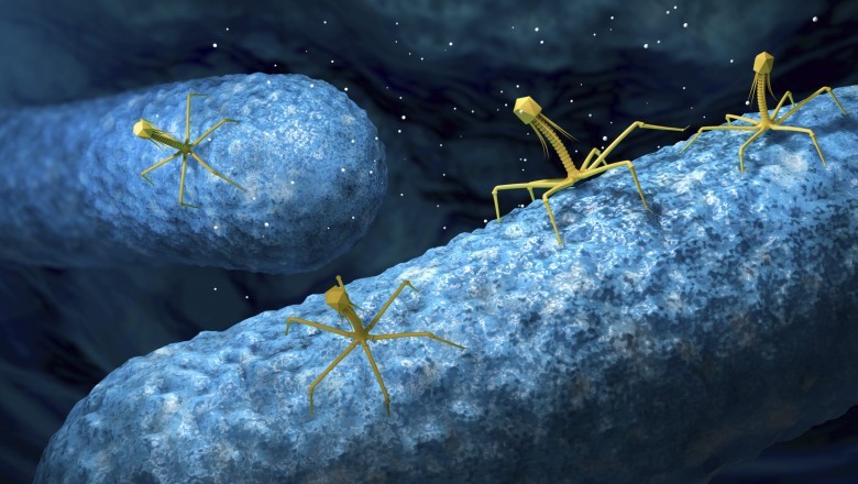 Armata Pharmaceuticals, Inc. has invested US$ 20 million to assist the progress of the company's bacteriophages development programmes, indicating that the Bacteriophages Therapy Market is quickly developing.