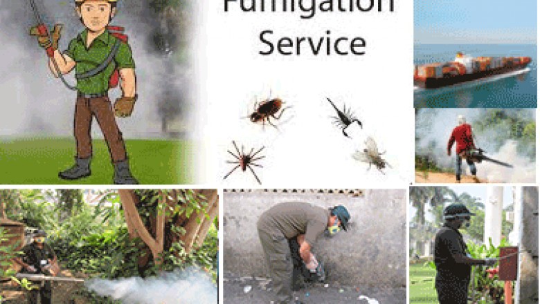 Commercial Pest Control Services India