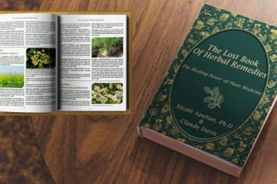 Home grown Remedies For Impotence - Do They Really Work?