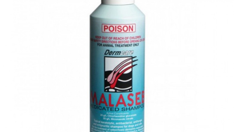 Buy Malaseb Medicated Foam Shampoo For Dogs & Cats Online - DiscountPetCare