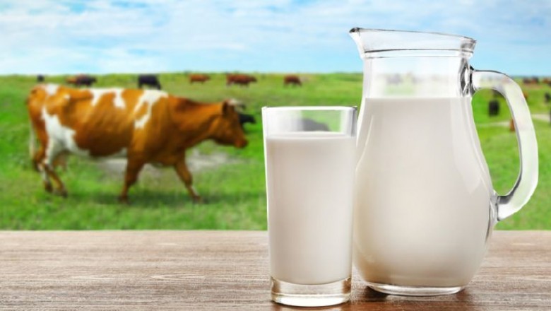 Cow milk rate in Chennai