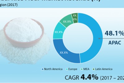 Global Rice Flour Market – Competitive Analysis, Revenue, Demand and Applications to 2025