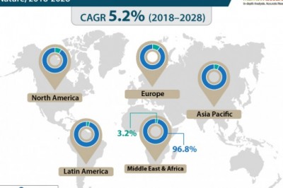 Shea butter market - Global Industry Analysis Size Share Growth Trends and Forecast 2018 - 2028