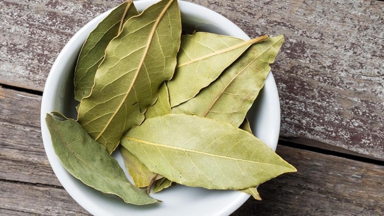 Bay Leaf (Laurel Leaf); an Herb Commonly Used In Cooking and To Make Medicine