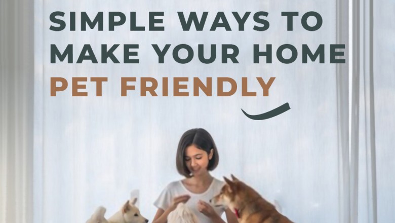 What are the Simple Ways To Make Your Apartment Pet Friendly ?