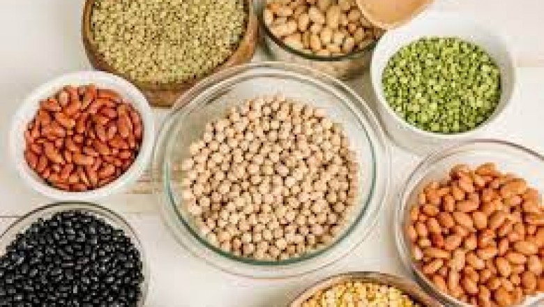 Lentil Protein Market : Global Market Size, Growth, Trends and 2030 Forecast Report