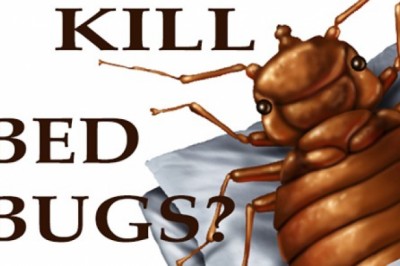 Pest Control Services in Goregaon – Sadguru Pest Control