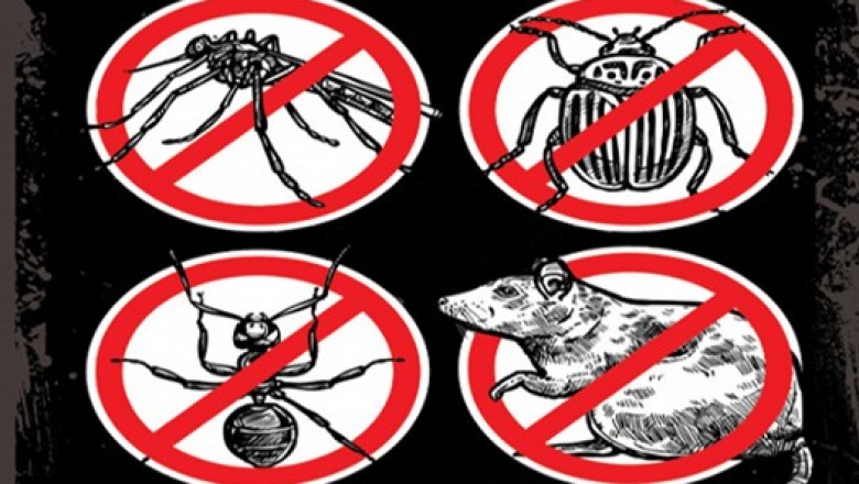 Pest Control Services in Mumbai – Sadguru Pest Control