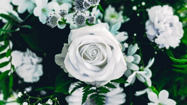 Why You Should Choose Sola Wood Flowers?