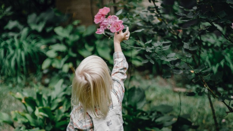 A Guide to the best Gardeners in Sydney