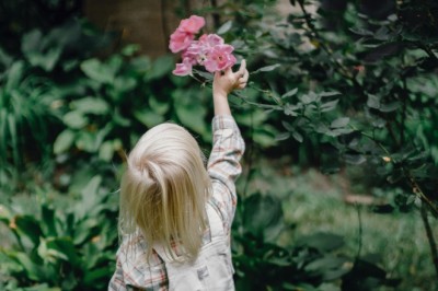 A Guide to the best Gardeners in Sydney