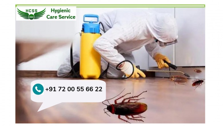 Cockroach control services in Chennai @+91 72 00 55 66 22