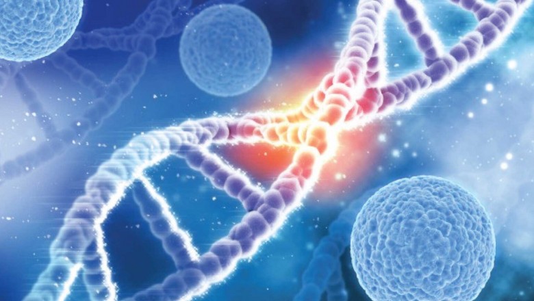Genomic Diagnostics Company Veracyte Strengthens Medical Team