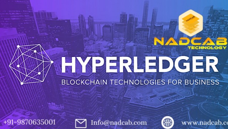 Hyperledger Blockchain Development Company