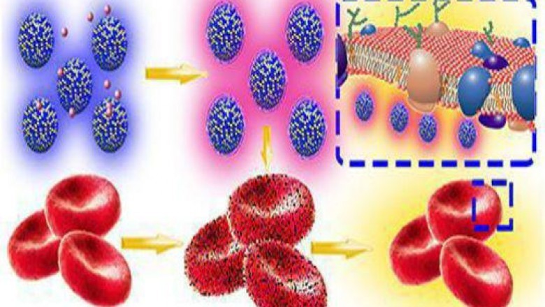 Nano-silicon Drug Delivery Platform offers numerous advantages including high carrier capacity and better stability