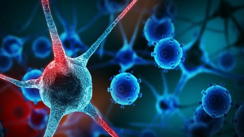 Nanobodies have become crucial breakthrough innovation for medical industry