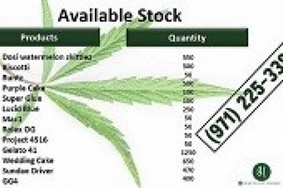 Fresh And Healthy Ice Cream Cake X Kush Mints Clones.