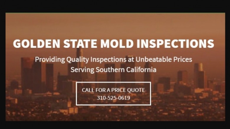 Mold Inspection - What is Involved?