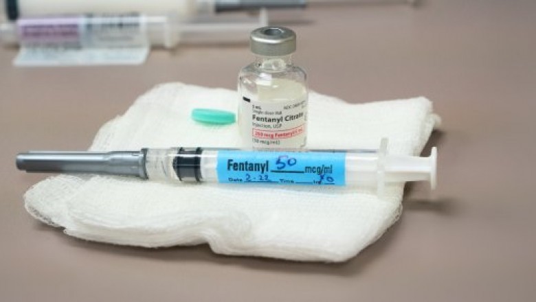 Surgical operations, post-surgery recuperation, animal behaviour maintenance, and the delivery of oral medications all involve general anesthesia drugs.