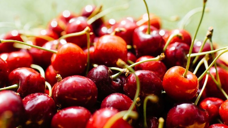 Top 10 Leading Players in Fresh Cherries Market-Diva Agro Ltd,Alara Agri,Vitin Fruits