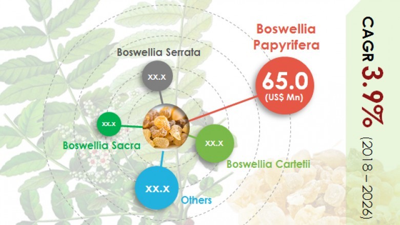 US Market Study on Boswellia
