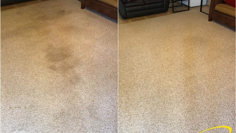 Best Carpet Cleaning Service In Athens GA