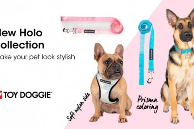 Get Best and Most Required Dog Supplies at Toy Doggie Brand