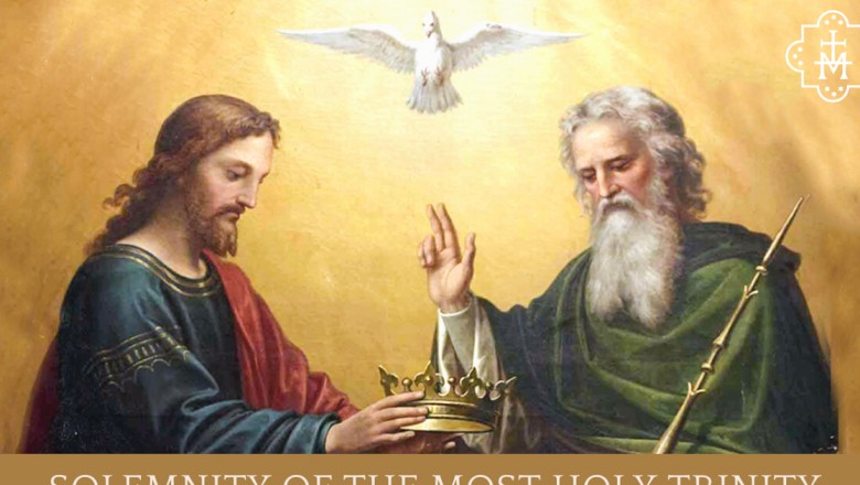 Sunday Homily Blog and Podcast