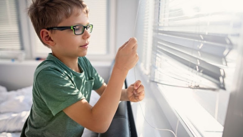 Why Use Window Blinds In Your Home?