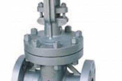 Cast steel gate valve manufacturer in Italy