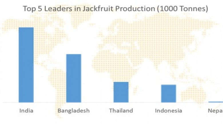 Market Study on Jackfruit- Latest Trends, Growth and Revenue Analysis to 2026