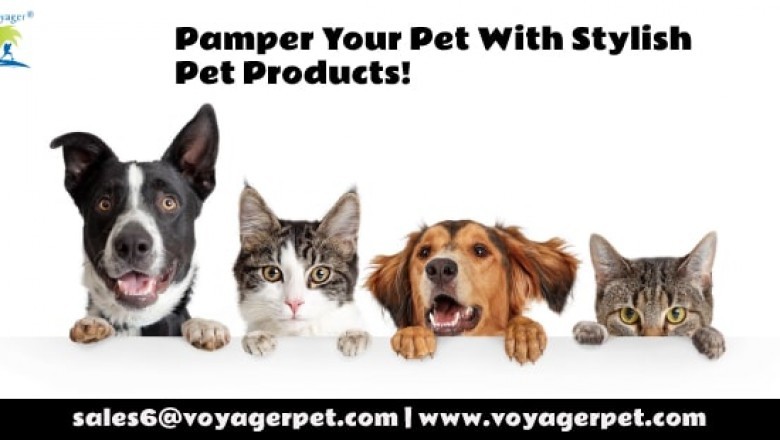 Pamper Your Pet With Stylish Pet Products!