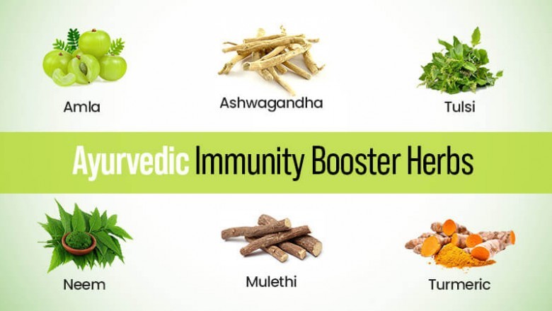5 Immune Boosters to help keep you Healthy