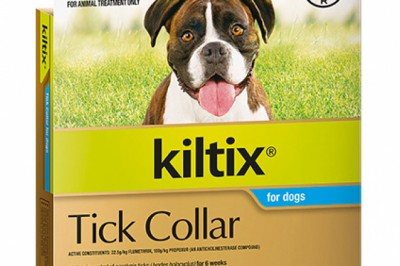 Buy Kiltix Flea and Tick Collar For Dogs | Online at Lowest Price - DiscountPetCare