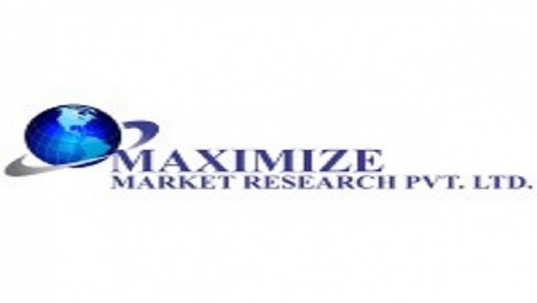 Global Internal Neuromodulation Devices Market Overview: 2019-2027