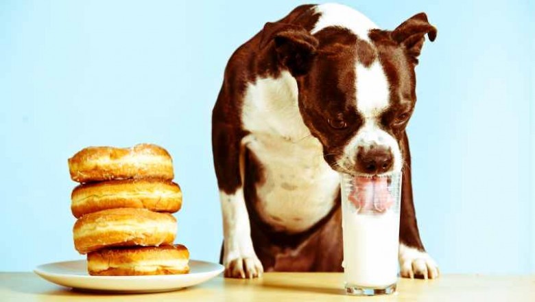 The global pet milk replacement product industry owing to growing need for healthier alternatives to cow's milk and chicken