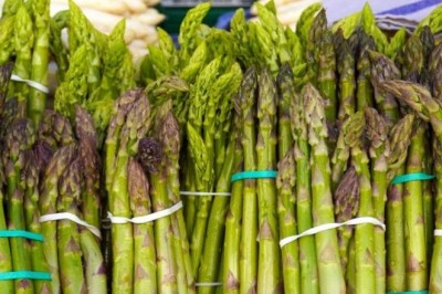 Applewood Fresh Growers LLC has announced its expansion in the asparagus market with addition of fresh Michigan asparagus
