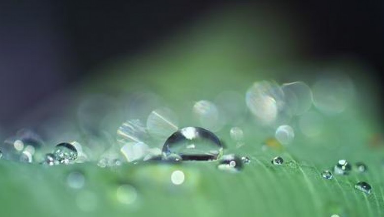 Assurance Santé Dentaire