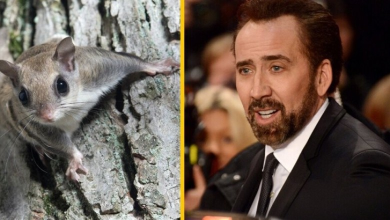 Nicolas Cage Says