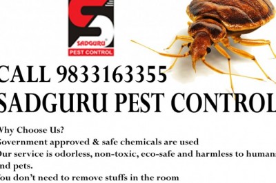 Pest Control Services in Andheri - Sadguru Pest Control
