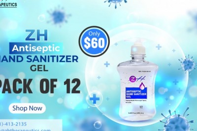 250 ml ZH Antiseptic Hand Sanitizer Gel – (Pack of 12)