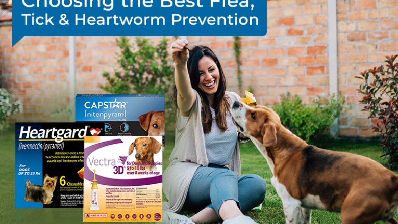 Choosing the Best Flea Tick Heartworm Prevention