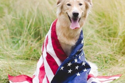 Fares So Low, It’s happening at BudgetPetWorld!!